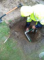 Ofrecidos Sin datos  ofrecido